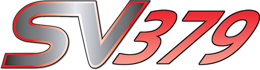 vnsv379 Logo